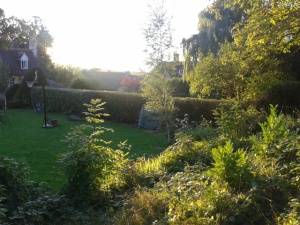 A garden universe in Stroud
