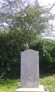 The Rhymer's Stone - marking the spot of the Eildon Tree. Photograph copyright Kevan Manwaring 2014